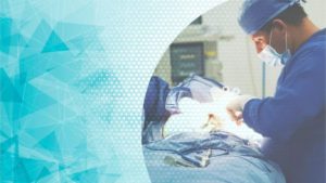 Plastic surgeon in operating room